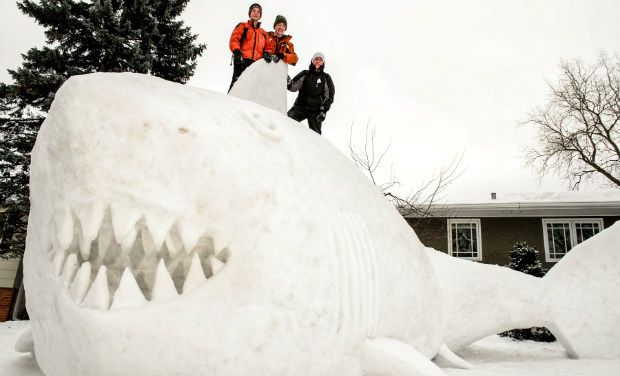 Three brothers (from left) Connor, Trevor and Austin Bartz built this 16 foot high snow shark in the front yard of their New Brighton, Minnesota home. It took them around 95 hours of work and they gathered the snow from houses in their neighborhood Three brothers (from left) Connor, Trevor and Austin Bartz built this 16 foot high snow shark in the front yard of their New Brighton, Minnesota home. It took them around 95 hours of work and they gathered the snow from houses in their neighborhood